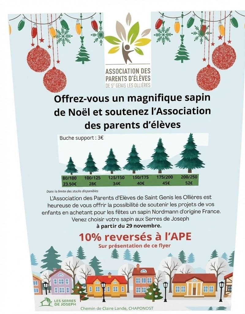 Flyer Sapins de Noël - APE Victor Hugo