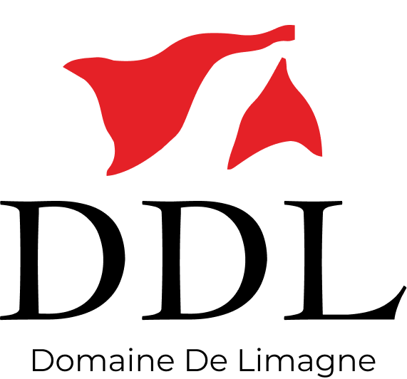 Domaine de Limagne – Éleveur de canard en Auvergne et boucheries à Lyon